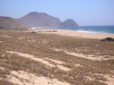 Lots/Land For sale in Todos Santos, Baja California Sur, Mexico - La Cachora